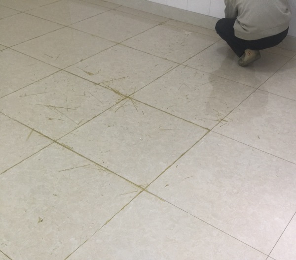 浙江寧波鄭先生DIY美縫施工案例(圖1) 浙江寧波鄭先生DIY美縫施工案例(圖1)