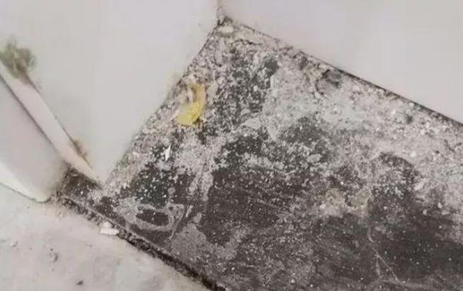 解決美縫劑不固化的方案方法(圖1) 解決美縫劑不固化的方案方法(圖1)